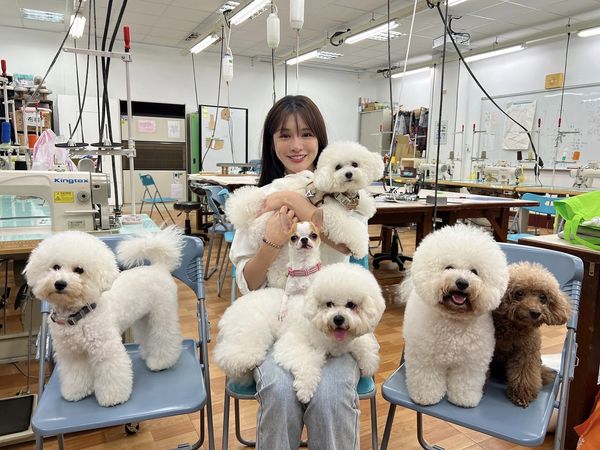 藝人 林岱縈，台北海大實習，毛小孩熱情來示愛