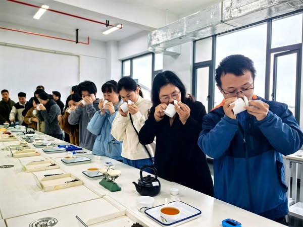 「茶香兩岸 緣聚松陽」兩岸製茶師共創新茶品，推動茶藝文化交流