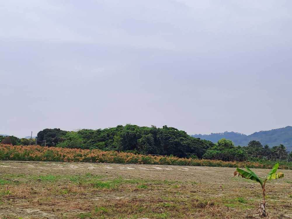 國土計畫延後 農地創造經濟 國土計畫延後 農地創造經濟