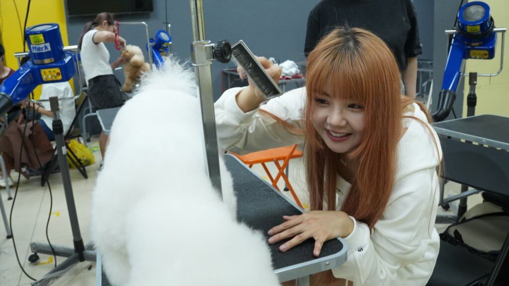 比熊台北海大新媒體講座現場照 比熊在台北海大擔任新媒體講座導師,現場演講吸引大批學生。