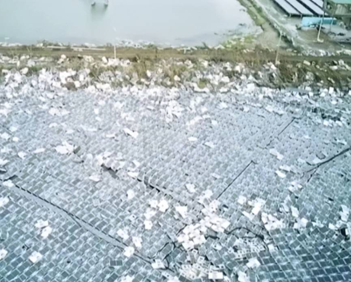 屏東光電板遭丹娜絲颱風毀損並造成重金屬污染