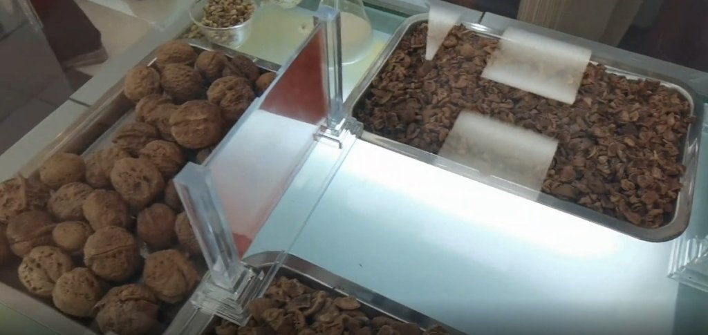 鐵皮核桃外殼厚如鐵，散布於高山自然環境，因稀有度與活性油脂成分而受到市場注目