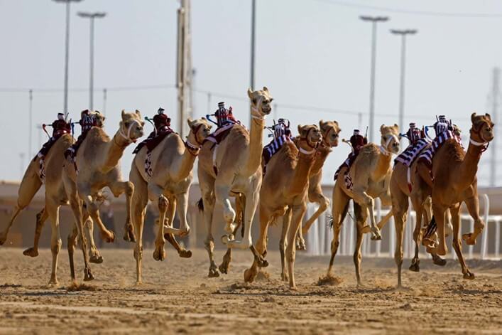 2025年人形機器人在科技展與運動賽事中的實際展示畫面